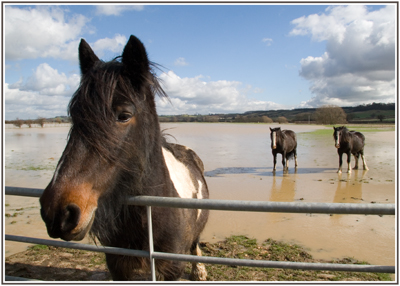 Marooned
